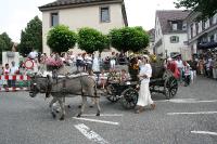 IMG_6443 (2) 